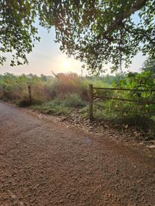 Image of 525 Sq.ft Residential Plot / Land for sale in Salvador Do Mundo, Goa for Rs. 31500000