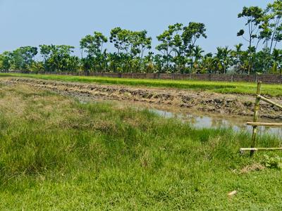 Image of 720 Sq.ft Residential Plot / Land for sale in Sonarpur, Kolkata for Rs. 199999