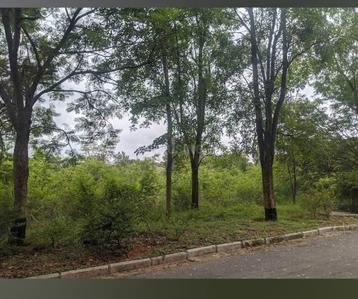 Image of 39640 Sq.ft Residential Plot / Land for sale in Sarjapur, Bengaluru for Rs. 55000000