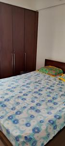 Bedroom Image of 1100 Sq.ft 2 BHK Apartment / Flat for rent in Eisha Loreals, Kondhwa Pune for Rs. 33000