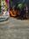 santoshpurEast coperty Plot View 2