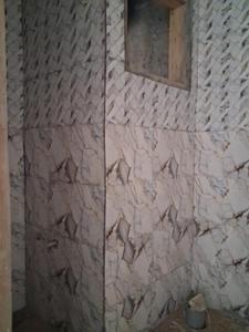 Common Bathroom Image of 1050 Sq.ft 2 BHK Apartment / Flat for sale in Sector 101 Noida for Rs. 4500003