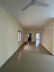 Hall Image of 1100 Sq.ft 2 BHK Apartment / Flat for rent in Adyar Chennai for Rs. 36000