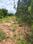 Chikkajala Main Image 1