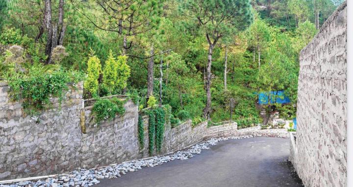 THE HILLS KASAULI Main Image 1