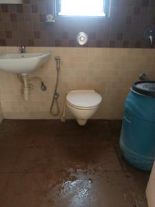 Common Bathroom Image of 900 Sq.ft 2 BHK Apartment / Flat for rent in Kalpataru Serenity, Hadapsar Pune for Rs. 26000