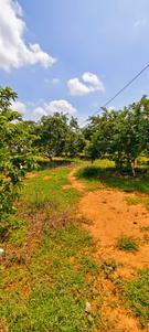 Image of 87120 Sq.ft Residential Plot / Land for sale in Kandukur, Hyderabad for Rs. 37000000