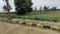 Rammana Layout Main Image 1