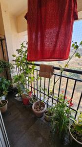 Balcony Image of 1250 Sq.ft 3 BHK Apartment / Flat for sale in Puraniks Abitante, Bavdhan Pune for Rs. 12000000