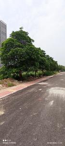 Image of 1937 Sq.ft 8 BHK Independent House for sale in Sector 11, Noida for Rs. 60000000
