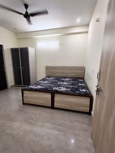 1 RK Apartment