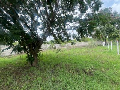 Chandshi Plot View 2
