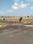 Kondampatty Plot View 2