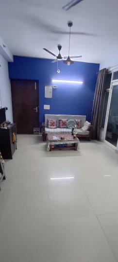 Gardenia Glory Main Image 1