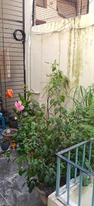 Balcony Image of 800 Sq.ft 1 BHK Independent House for rent in Harsh Nagar Kanpur for Rs. 11000