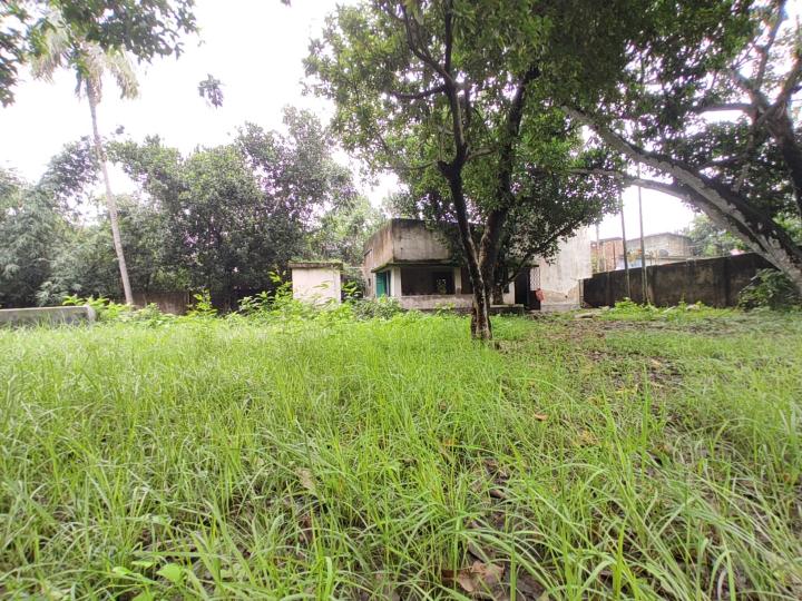 Rajarhat Chowmatha Main Image 1