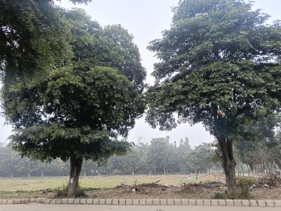 Image of 1800 Sq.ft Residential Plot / Land for sale in Sector 114, Mohali for Rs. 12000000