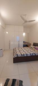 Bedroom Image of 1173 Sq.ft 2 BHK Apartment / Flat for rent in Casagrand First City, Sholinganallur Chennai for Rs. 41000