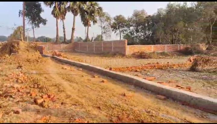 Naubatpur Main Image 1