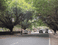 SECTOR 46 NOIDA Main Image 1