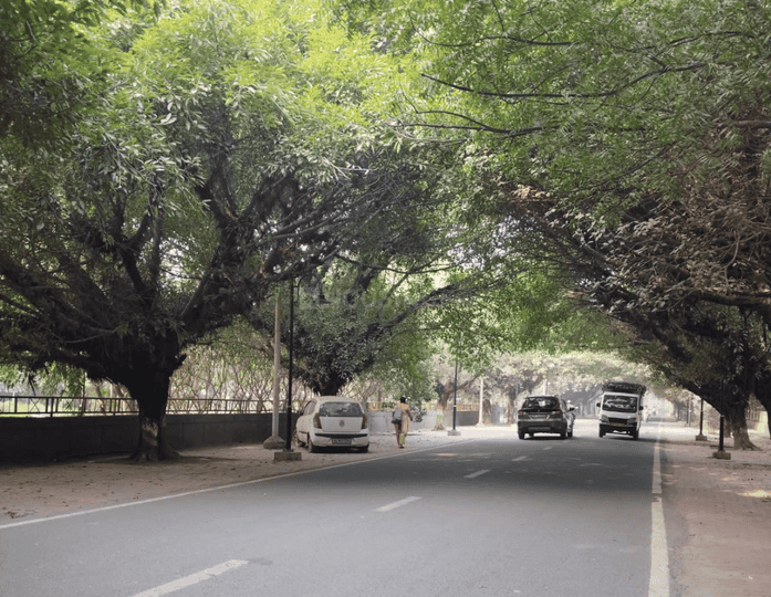 SECTOR 46 NOIDA Main Image 1