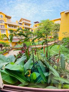 Image of 1263 Sq.ft 2 BHK Apartment / Flat for sale in Aldeia De Goa Frangipani Villas, Aldeia De Goa, Goa for Rs. 55000000
