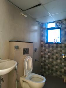 Common Bathroom Image of 845 Sq.ft 2 BHK Apartment / Flat for rent in Shapoorji Pallonji Vanaha, Bavdhan Pune for Rs. 23000