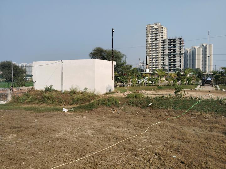 Skywhales Vienna Greens II Main Image 1