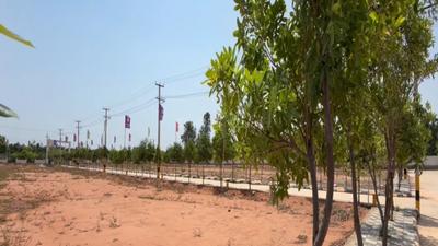 Image of 2178 Sq.ft Residential Plot / Land for sale in Shadnagar, Ranga Reddy for Rs. 1451958