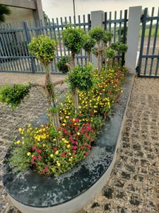 Image of 1200 Sq.ft Residential Plot / Land for sale in Vidhan Sabha Road, Raipur for Rs. 2880000