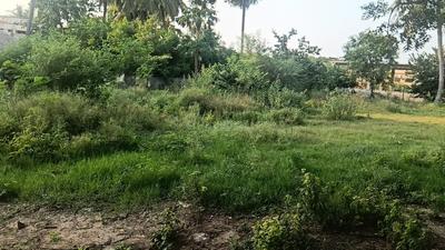 Image of 5184 Sq.ft Residential Plot / Land for sale in Vuyyuru, Vijayawada for Rs. 8640000
