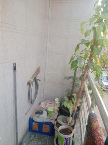 Balcony Image of 500 Sq.ft 2 BHK Builder Floor for rent in Palam New Delhi for Rs. 17000