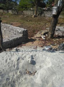 Image of 267 Sq.ft Residential Plot / Land for sale in Nagaram Ranga Reddy District, Secunderabad for Rs. 8544000