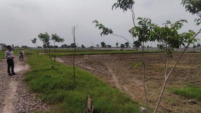 Image of 900 Sq.ft Residential Plot / Land for sale in Jewar, Greater Noida for Rs. 800000