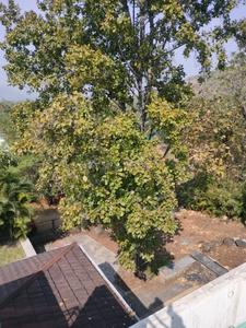 Balcony Image of 2000 Sq.ft 2 BHK Independent House for sale in Varve Khurd Pune for Rs. 20000000