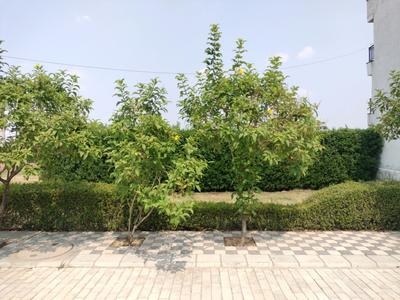 Mansha Oaks Plot View 1
