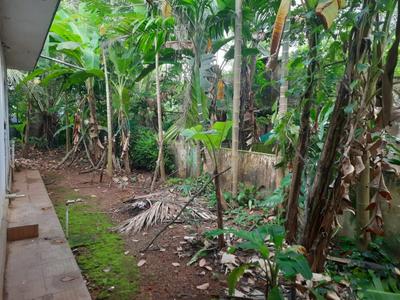 Balcony Image of 800 Sq.ft 3 BHK Independent House for sale in Aluva Kochi for Rs. 5000000