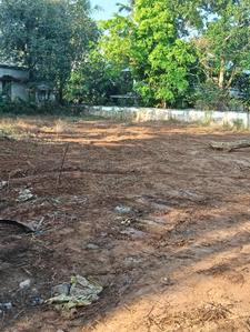 Image of 10890 Sq.ft Residential Plot / Land for sale in Pottore, Killannur, Thrissur for Rs. 315000