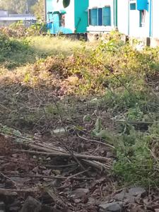 Image of 2650 Sq.ft Residential Plot / Land for sale in Kuruda, Balasore for Rs. 6600000