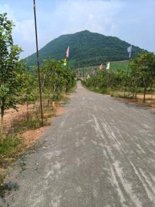 Image of 100 Sq.ft Residential Plot / Land for sale in Ravikamatham, Visakhapatnam for Rs. 350000