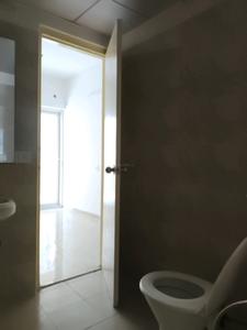 Common Bathroom Image of 1300 Sq.ft 3 BHK Apartment / Flat for rent in Gaurs 14th Avenue, Noida Extension Greater Noida for Rs. 22500