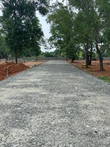 Residential Plot