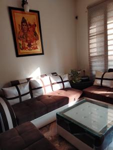 Hall Image of 780 Sq.ft 1 BHK Builder Floor for rent in Sector 117 Mohali for Rs. 15000