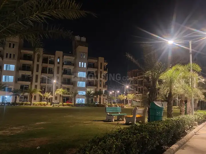 JOP Palms Main Image 1