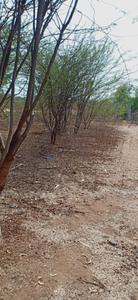 Image of 303 Sq.ft Residential Plot / Land for sale in Bheemaram, Warangal for Rs. 6200000