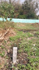 Golden temple Plot View 2