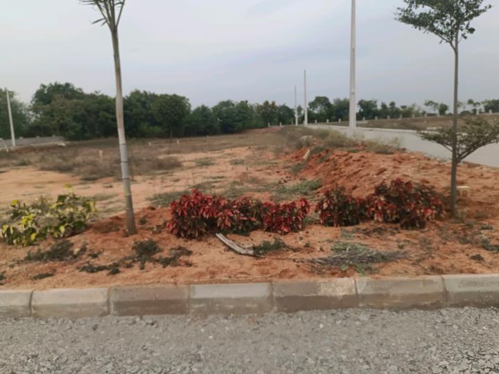 Mirkhanpet Plot View 1