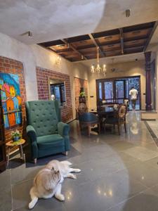 Hall Image of 4600 Sq.ft 5 BHK Villa for rent in Yelahanka Bengaluru for Rs. 350000