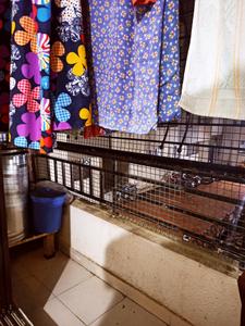 Balcony Image of 550 Sq.ft 1 BHK Apartment / Flat for sale in Saphale Mumbai for Rs. 1800000
