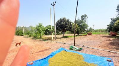 Image of 450 Sq.ft Residential Plot / Land for sale in Chhata, Mathura for Rs. 750000